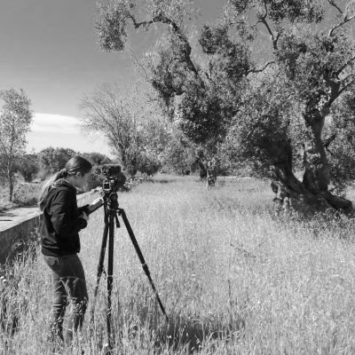 Olivenbaume_BTS4